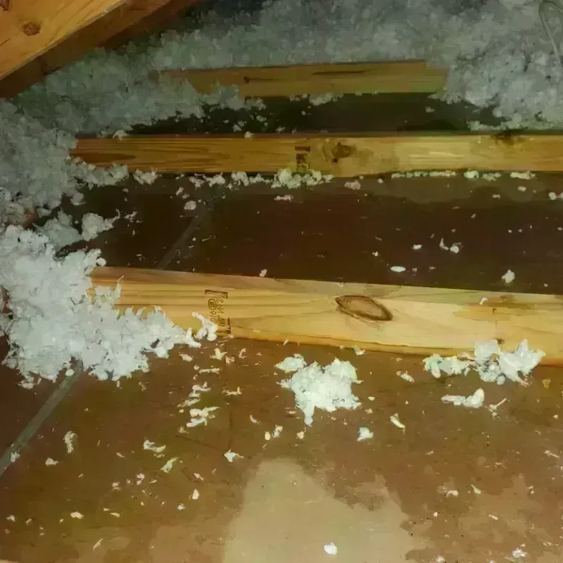 Attic Water Damage in Magnolia, AR